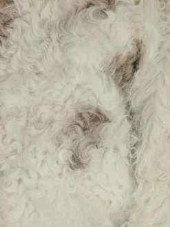 ARMA, Felljacke CATLYN -Kastner Oehler Geschaft arma felljackecatlyn 5 768 1024 75 7504687 5